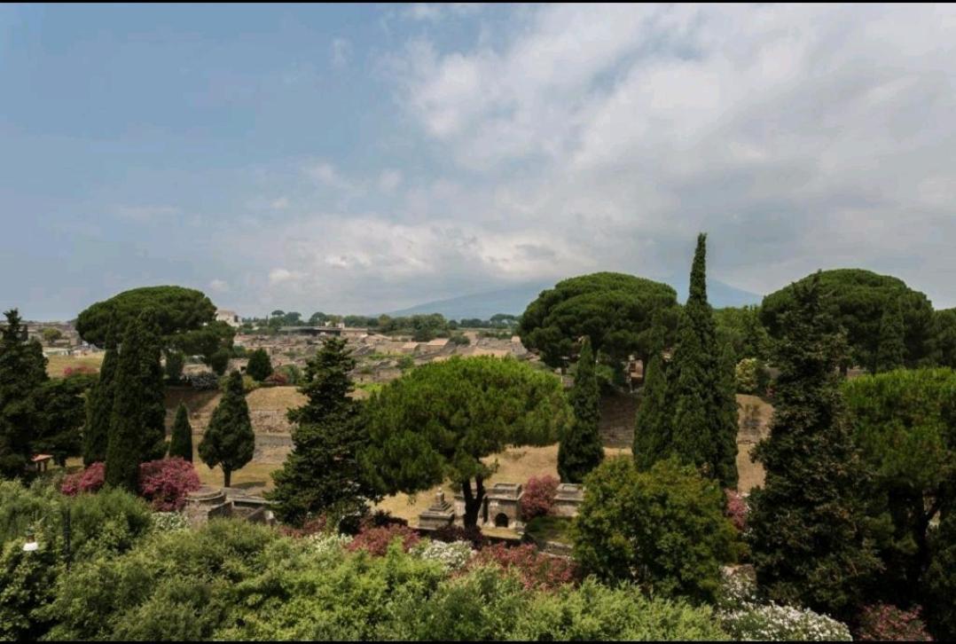 B&B Vesuvio Ruins Pompeja Zewnętrze zdjęcie