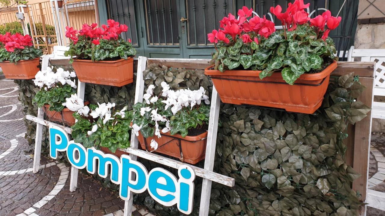 B&B Vesuvio Ruins Pompeja Zewnętrze zdjęcie